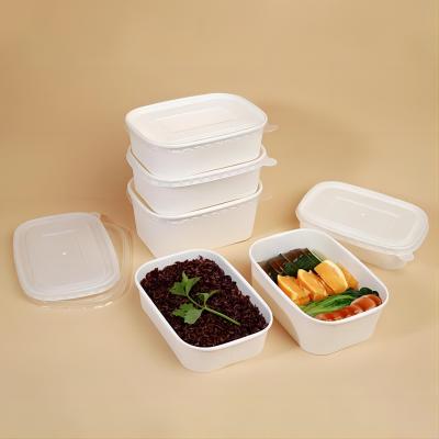 Disposable eco-friendly rectangular paper bowl